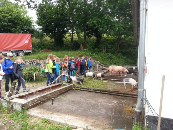 Exkursion zum Bauernhof mit einer 5. Klasse